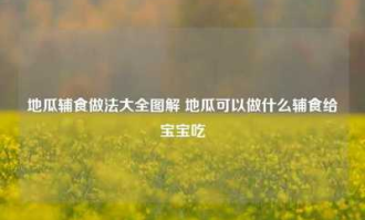 超市番薯可以做什么