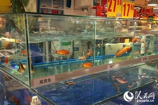 超市买的活鱼如何养殖的