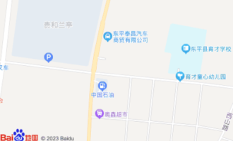 东平新开的超市在哪里
