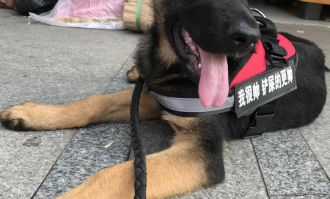 饼干如何跑小超市买卖