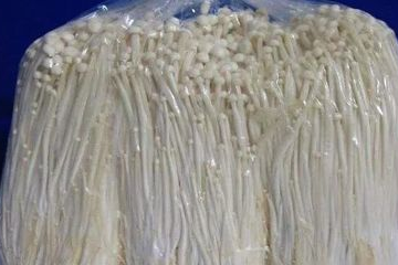 超市买的金针菇如何储存