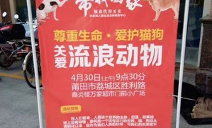 如何带宠物去超市买猫狗