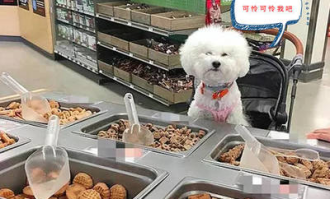 在超市如何推销饼干