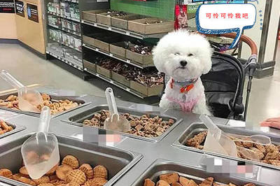 在超市如何推销饼干