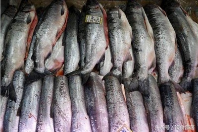超市适合卖什么鱼肉