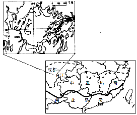 合江荔枝鲜果超市在哪里