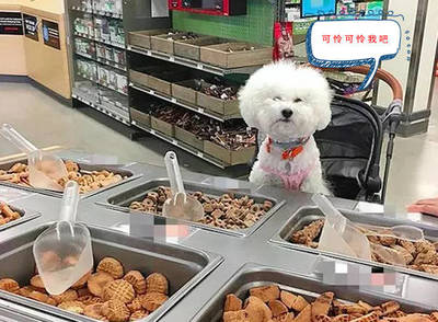 在超市如何推销饼干