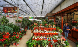 陈村启隆轩超市在哪里