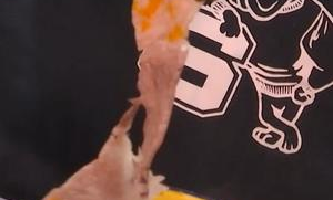 孝感狗能进超市吗