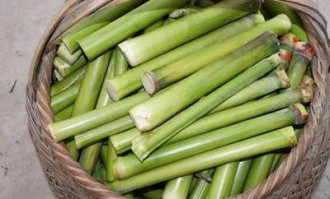 南陵甘蔗超市在哪里