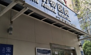 广州宠物超市在哪里