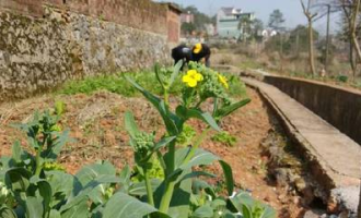 吴村小宝超市在哪里