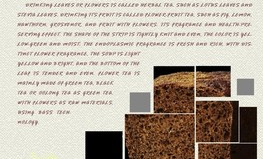 在超市如何选择荞麦面包