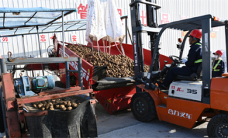 克山鞭炮超市在哪里卖