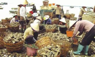 超市哪里买蚝罐头便宜