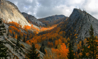 山谷超市武汉在哪里