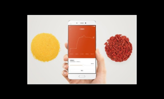 大米口感盲测排行榜