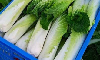 洛龙区绿叶超市在哪里