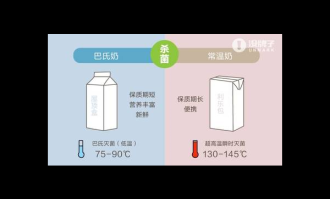 巴氏奶VS常温奶体质适配