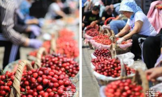 北京超市的樱桃叫什么