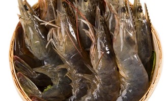 超市素材海鲜图片打包下载