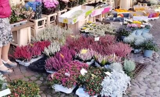 沉静是逛什么超市