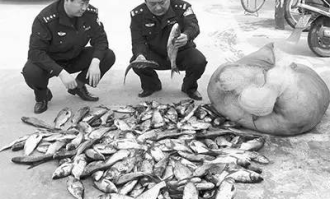 稻田超市被盗案件结果如何