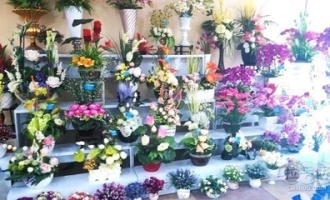 鲜花超市漳州店在哪里