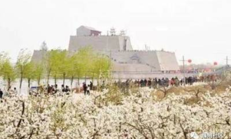 魏县卖肉超市在哪里