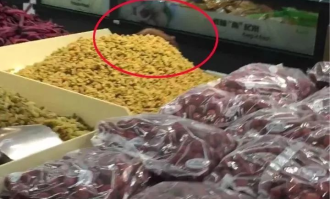 无锡超市老鼠店在哪里