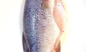 超市里腌制的鱼如何做