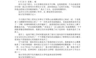 恋爱购物车观察日记