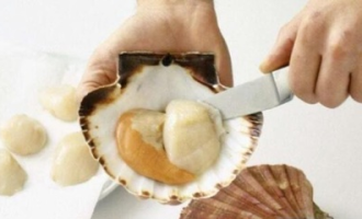 超市买的扇贝肉如何清洗