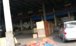 浙江嘉兴搬家超市在哪里