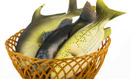 锦鲤卡能在超市消费吗