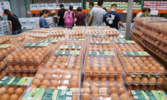 焦作鸡蛋超市在哪里啊