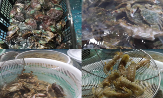 海鲜区活体展示水箱维护