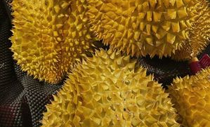 贵妇超市榴莲好吃吗