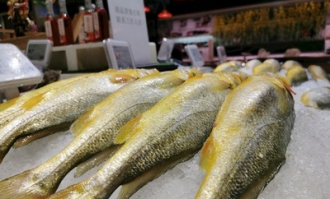 超市里冻小黄鱼如何做