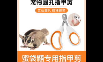 宠物医疗护理体验区