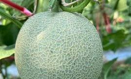 澄迈生鲜超市在哪里