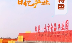 邱县马大姐超市在哪里