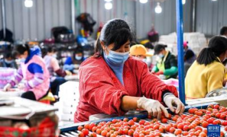 田阳环球超市在哪里进货