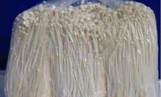 超市买的金针菇如何储存