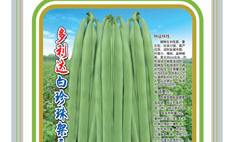 超市买的珍珠果会发芽吗