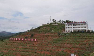 田阳家乐福超市在哪里