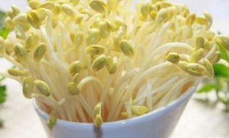 为什么超市买豆芽便宜