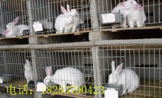 兖州兔兔超市在哪里