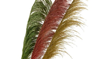 超市里如何保鲜花菜