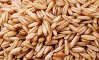 超市大米如何泡水煮的快